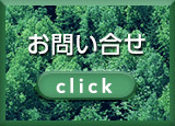 ���������E���₢���킹�͂����炩��